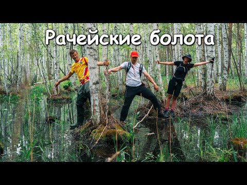 Видео: Рачейские Болота