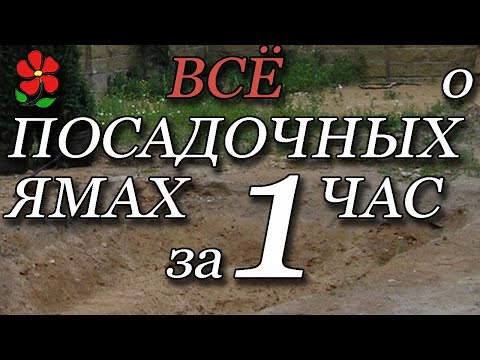 Видео: Всё о посадочных ямах и процессе посадке растений в грунт.  Полная инструкция с разъяснениями.