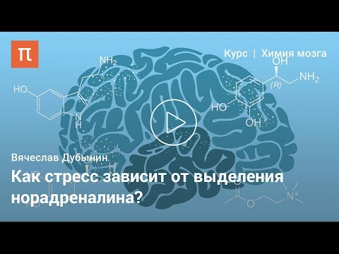 Видео: Норадреналин — Вячеслав Дубынин