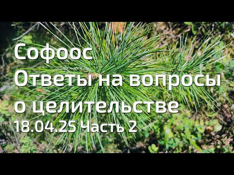 Видео: Софоос. Ответы на вопросы о целительстве. 18.04.25. Часть 2