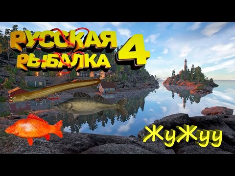 Видео: Русская рыбалка 4 Russian Fishing 4 Сидим болтаем