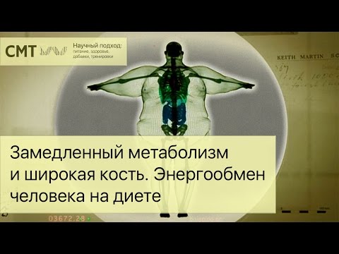 Видео: Замедленный метаболизм и широкая кость. Почему не удается похудеть?