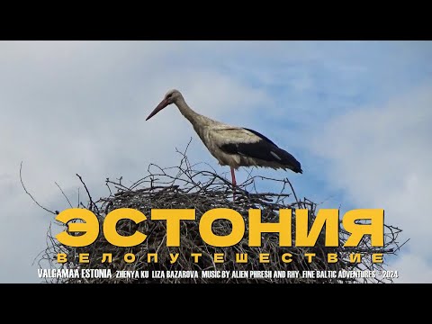 Видео: ЭСТОНИЯ на велосипедах | Приключения здесь!