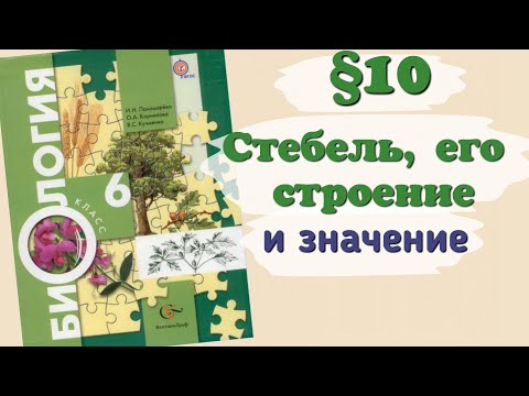 Видео: Краткий пересказ §10 Стебель, его строение и значение. Биология 6 класс Пономарева