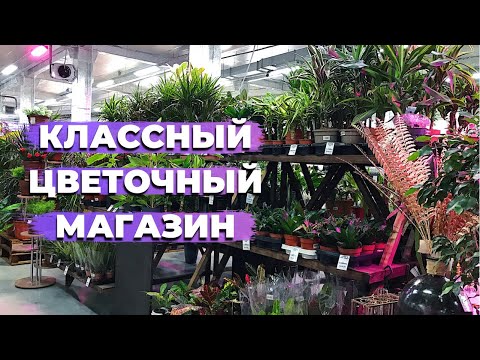 Видео: Обзор Большого Цветочного Магазина » Комнатные Растения в г. Екатеринбург