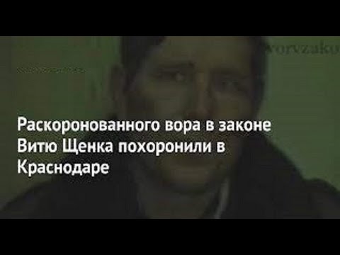 Видео: Вор  в  законе  Виктор  Бегдаш — Щенок  ушел  за  Отари  Кублашвили