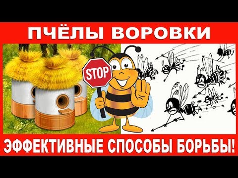 Видео: Пчёлы воровки - эффективные способы борьбы!