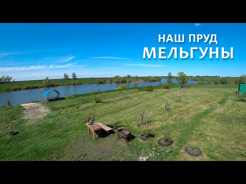 Видео: НАШ пруд Мельгуны