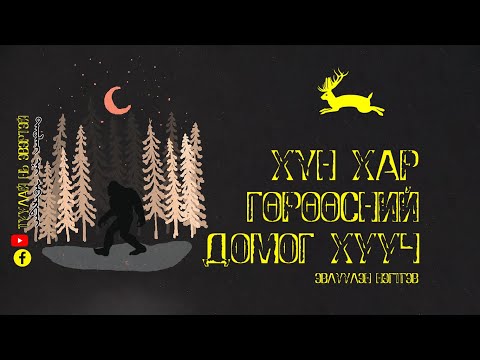 Видео: Хүн хар гөрөөс (Эвлүүлэн нэгтгэв)