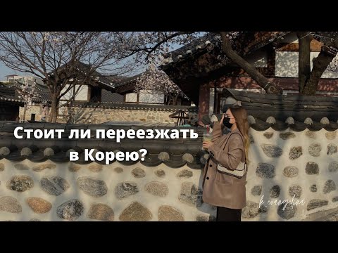 Видео: Стоит ли жить в Корее? Почему я выбрала Корею?