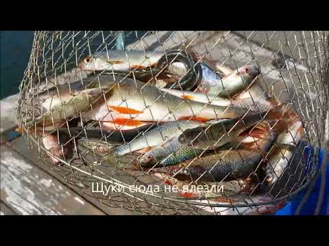 Видео: Вода пьяных не любит