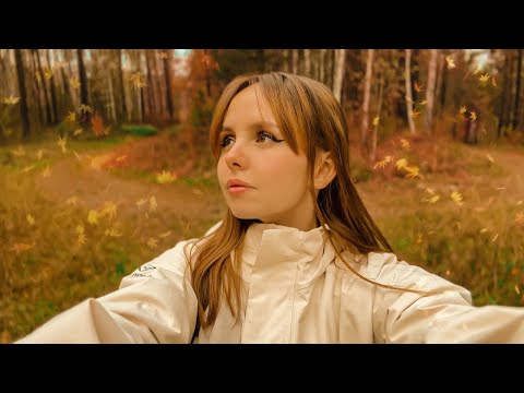Видео: Осенний лес | Тишина и звуки природы Урала