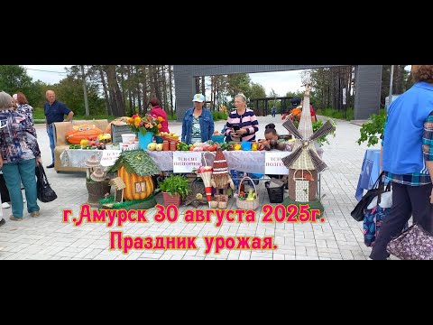 Видео: г. Амурск 30 августа 2025г. Праздник урожая.