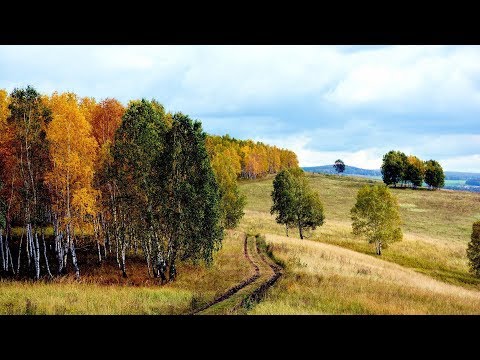 Видео: Осень.  Мелодия Моей ДУШИ