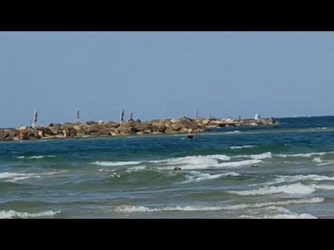 Видео: 31 октября в Тель-Авиве +33 и чистое море
