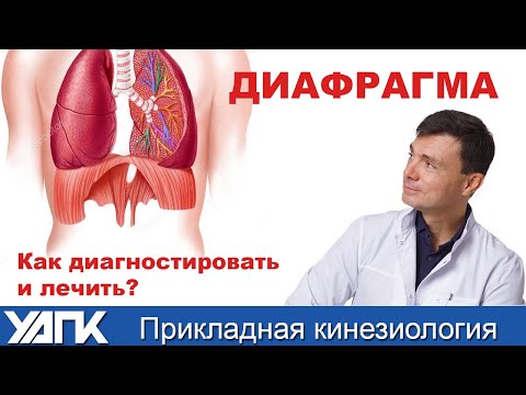 Видео: Мастер-класс доктора Кирдогло. Семинар №5.