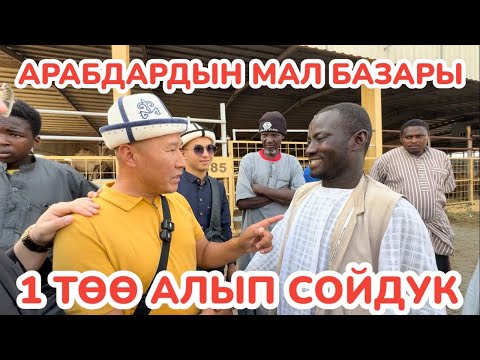 Видео: Соода КЫЗЫК БОЛДУ ~ Жаштар ТӨӨ союп, баатырлардын ата-энелеринен БАТА алды ~ МАЛ БАЗАР, Мекке шаары