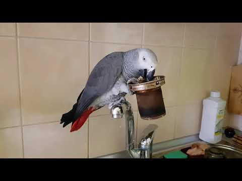 Видео: Кирюша  Болтуша 3