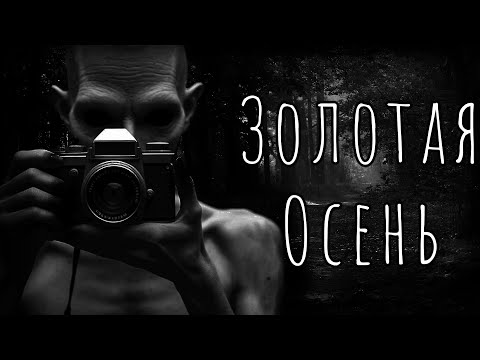 Видео: ЗОЛОТАЯ ОСЕНЬ... Страшные истории на ночь. Страшилки на ночь.