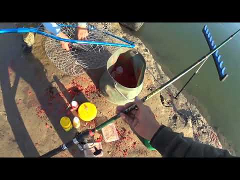 Видео: рыбалка на Или 28 30 08 2025