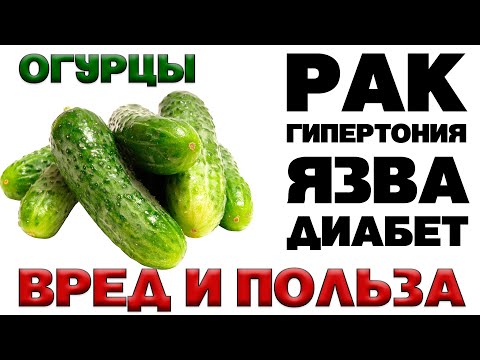Видео: Огурец - Польза и ВРЕД (Что таит в себе горький огурец)