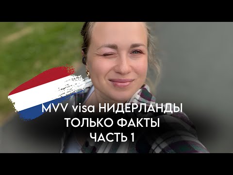 Видео: MVV виза : все что вам надо знать о процедуре получения и подготовки ко въезду в Нидерланды