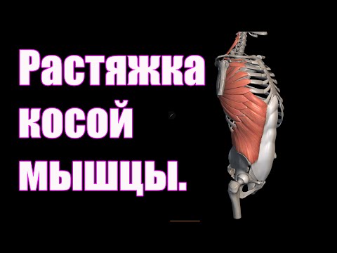 Видео: Растяжка косой мышцы живота