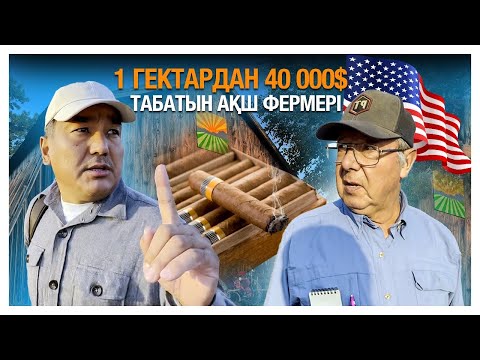 Видео: 1 гектардан 40 000$  табатын АҚШ фермері