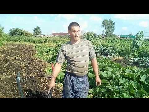 Видео: Культивация почти целины.Новая задняя навеска.и снова вопрос к зрителям.