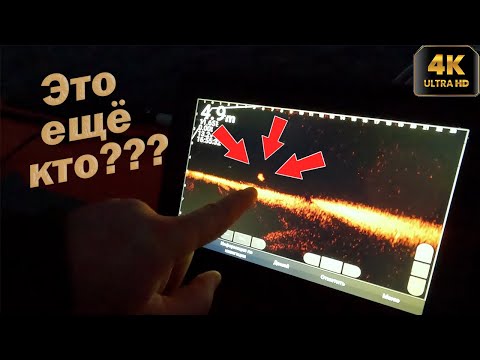 Видео: СТОЛЬКО СУДАКА Я ЕЩЁ НЕ ВИДЕЛ!!! РЫБАЛКА С PANOPTIX LIVESCOPE!!!