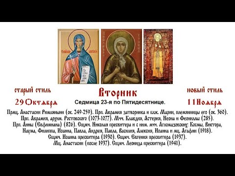 Видео: 11.11.2025  Божественная Литургия. Вторник. Седмица 23-я по Пятидесятнице.