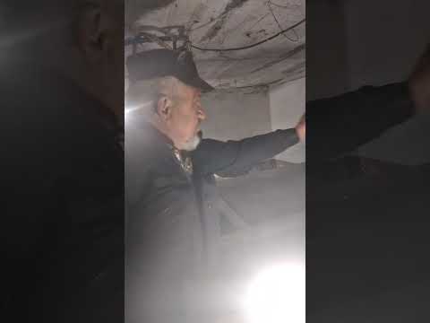 Видео: Сушилка гарбузового насіння