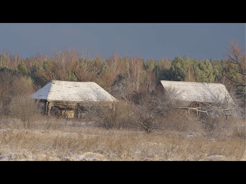 Видео: Поход по первому снегу, видео охота, ПВД, POV Wildlife, покинутые деревни