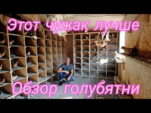 Видео: Этот чужак лучше