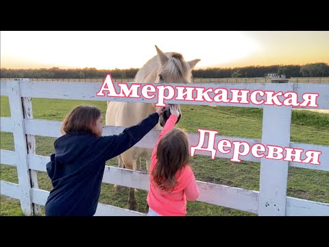 Видео: На Американской ферме/ влог 56