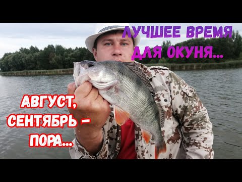 Видео: ЛОВЛЯ НА МИКРОДЖИГ,,,ЛУЧШЕЕ ВРЕМЯ ДЛЯ ЛОВЛИ 100%...