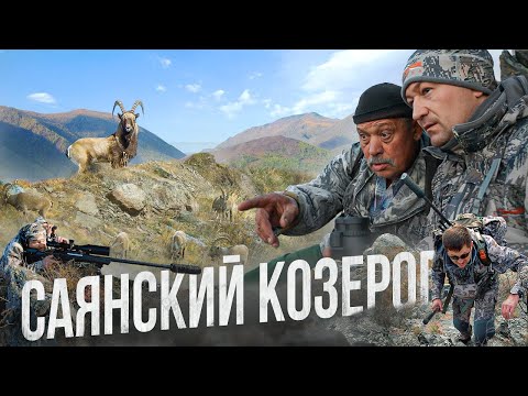 Видео: ПЕРВЫЙ ТРОФЕЙ. САЯНСКИЙ КОЗЕРОГ