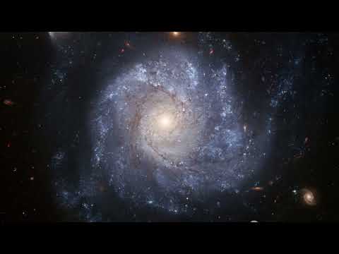 Видео: Яница пътя сбъркала