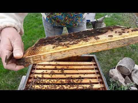 Видео: Шок  Такого ещё не было