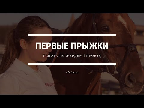 Видео: Первые прыжки | Работа по жердям | Проезд
