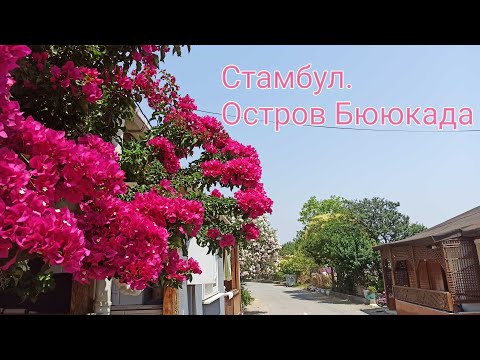 Видео: Стамбул. Остров Бююкада