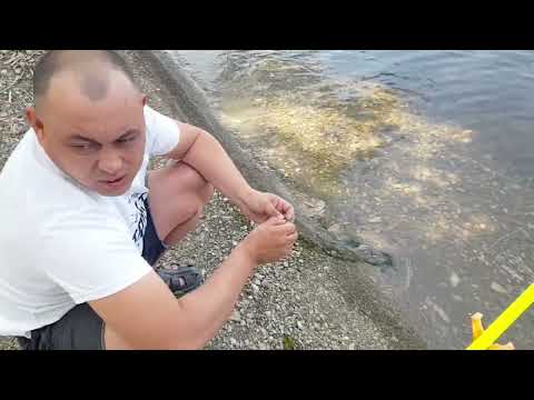 Видео: Рыбалка для двоих в Покровских просторах река Урал.