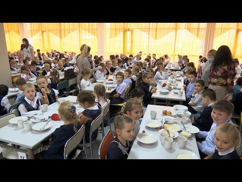 Видео: Школьное питание под контролем