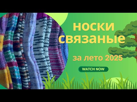 Видео: носки связанные за лето. Сколько пар насчитали?