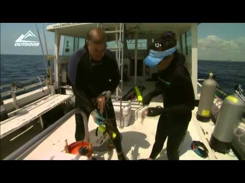 Видео: Охота на морских ершей во Флориде