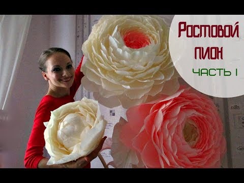 Видео: Огромный ростовой ПИОН. Часть 1 / Giant PEONY #1