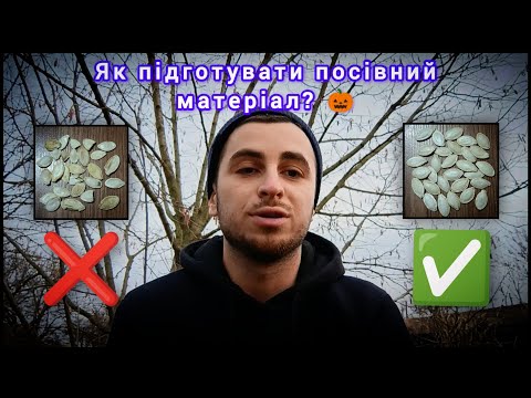Видео: Як підготувати посівний матеріал гарбузового насіння? Всі НЮАНСИ 🎃