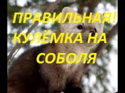 Видео: КУЛЁМКА НА СОБОЛЯ.Изготовление,обзор.