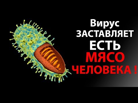 Видео: Вирус заставляет есть МЯСО ЧЕЛОВЕКА ! ( Plague Inc: Evolved )