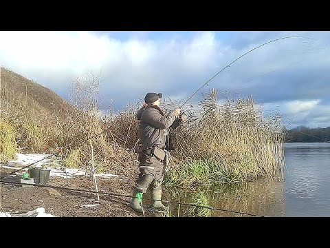Видео: Ищите ямы ,там водятся здоровенные Лещи..Фидерная ловля леща поздней осенью в не очевидных местах.